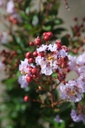 LAICETE_20250708105214.JPG
