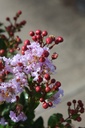 LAICETE_20250708105217.JPG