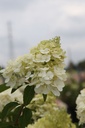 HYPPBEAR_20250714100029.JPG