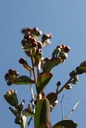 LAIVETE_20250709112638.JPG