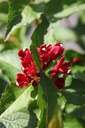 WECLOVE_20250709094733.JPG