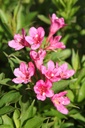 WEPROSA_20250709095116.JPG