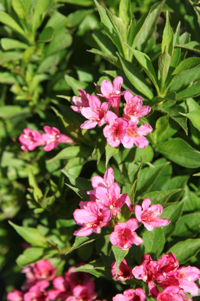 WEPROSA_20250709095125.JPG