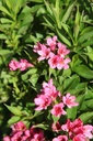 WEPROSA_20250709095125.JPG