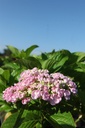 HYMAYESH_20250710091848.JPG
