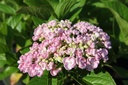 HYMAYESH_20250710091857.JPG