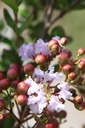 LAICETE_20250710161541.JPG