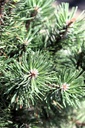 PIMCOLUM_20250710114548.JPG