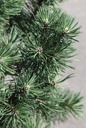 PIMCOLUM_20250710114551.JPG