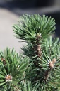 PIMCOLUM_20250710114552.JPG