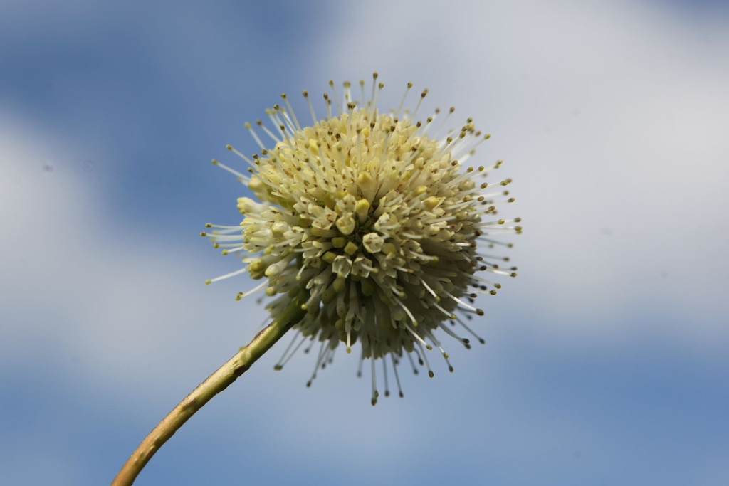 CEOFOPTI_20250711114605.JPG