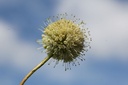 CEOFOPTI_20250711114605.JPG