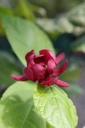 CARHWINE_20250711113839.JPG
