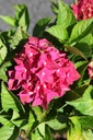 HYMAGSHA_20250711120131.JPG
