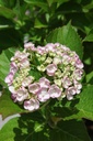 HYMAYESH_20250711141740.JPG