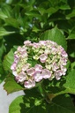 HYMAYESH_20250711141751.JPG