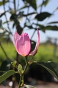 MAPPYRAM_20250711152234.JPG
