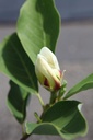 MASUNRIS_20250711132555.JPG
