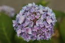 HYMESORI_20250714142649.JPG