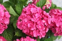 HYMESSLO_20250714135823.JPG