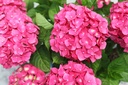 HYMESSLO_20250714135829.JPG