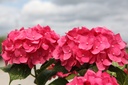 HYMESSLO_20250714135837.JPG