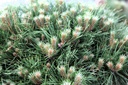 PINMBREG_20250714101409.JPG