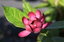 CAAPHROD_20250715090122.JPG