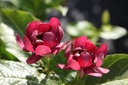 CAAPHROD_20250715090406.JPG