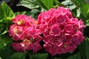 HYMRBARO_20250715085358.JPG