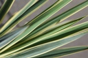 YUFBEDGE_20250715101312.JPG