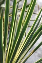 YUFBEDGE_20250715101325.JPG