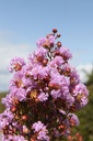 LAICETE_20250715144845.JPG