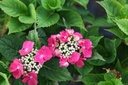 HYMKARDI_20250716101315.JPG