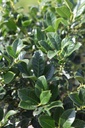 ILAJTOL_20250716102118.JPG