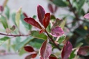 PHFLOUIS_20250716133013.JPG