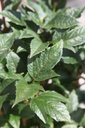 VITBCOMP_20250716141436.JPG