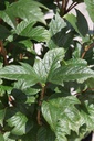 VITBCOMP_20250716141438.JPG