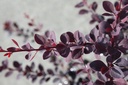BEOSUPER_20250718100450.JPG