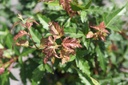 ACGBCOMP_20250718104721.JPG