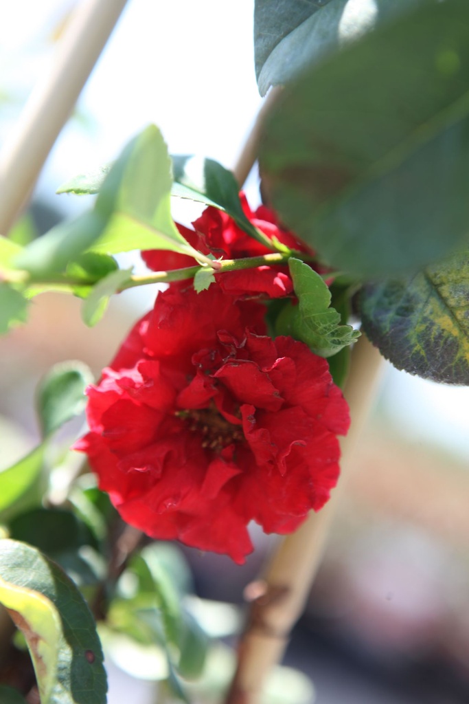 CHSPSTOR_20250718150413.JPG