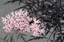 SANBLACE_20250718100741.JPG