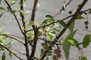 MASTYME_20250728151426.JPG