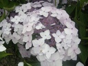 HYCLOUDI_20160708130426_xlarge.jpeg