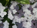 HYCLOUDI_20160707183530_xlarge.jpeg