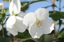 PHSNOWBE_20250730161434.JPG