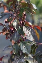 MAROYALT_20250801092318.JPG