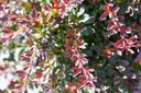 BETCABER_20250731093408.JPG