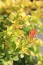 BETLIMON_20250731093848.JPG