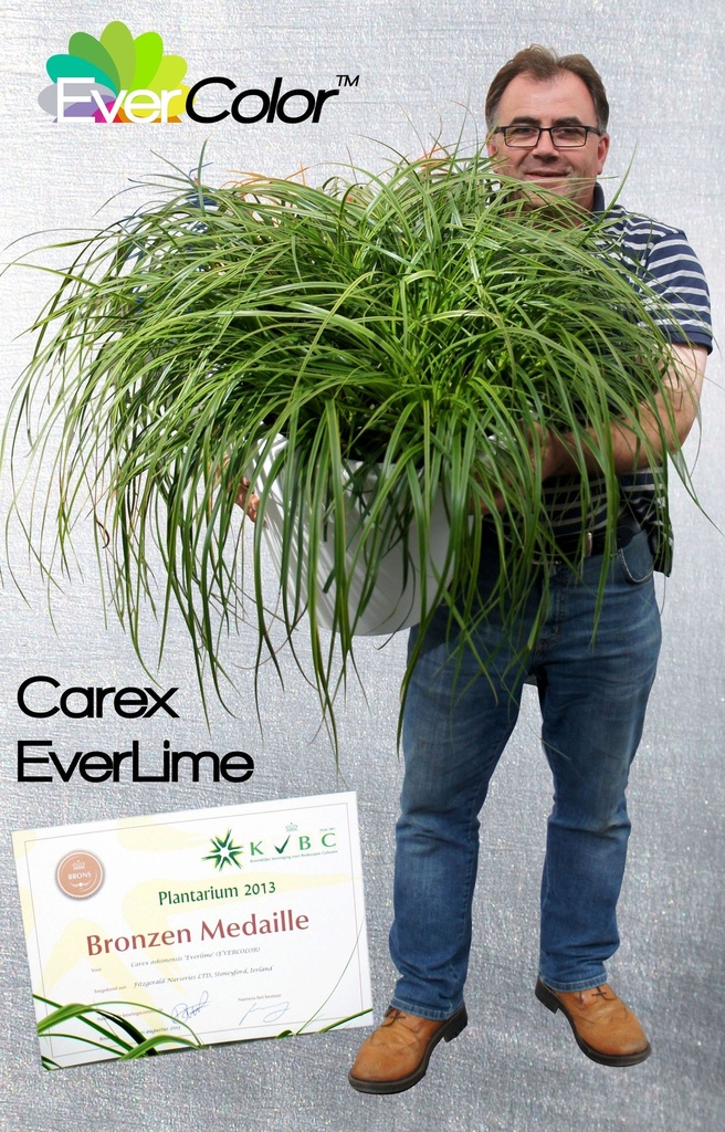 CAOEVERL_20150610150247_xlarge.jpeg